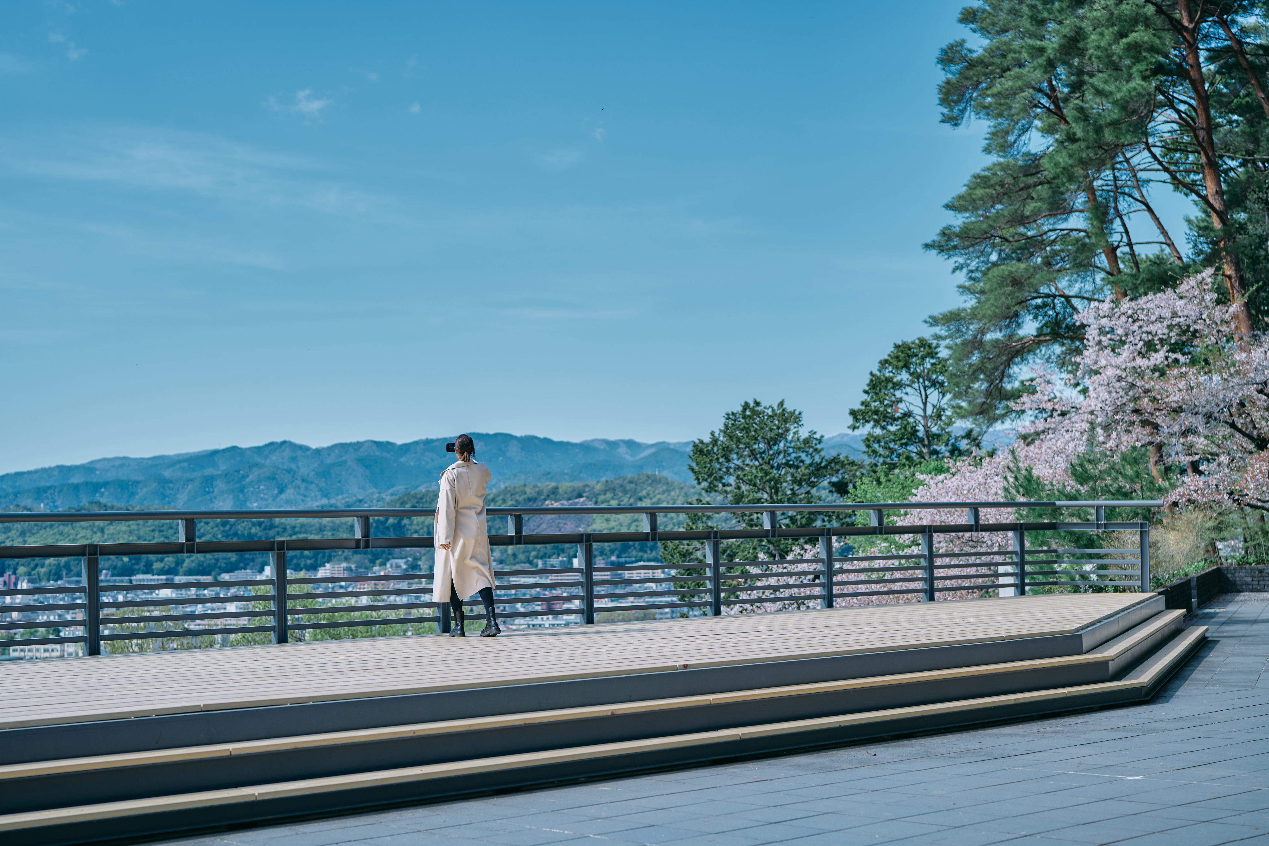 Photo of rows of books in a library with marble busts.